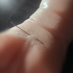 レス1番の画像1