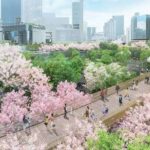 レス30番の画像2