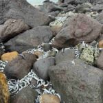 レス2番の画像1