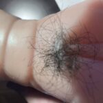 レス20番の画像1