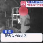 レス1番のリンク先のサムネイル画像