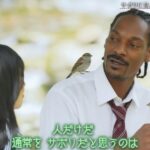 レス1番の画像4