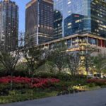 レス14番の画像4