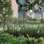 レス14番の画像3