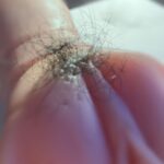 レス23番の画像1