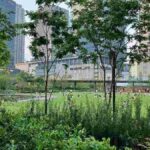 レス14番の画像2