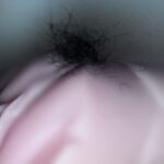 レス32番の画像1