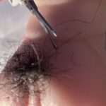 レス11番の画像1