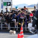 レス1番の画像1