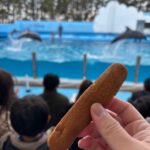 レス6番の画像1