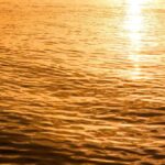 レス2番の画像1