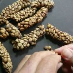 レス7番の画像1