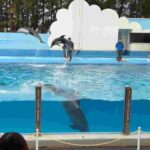 レス20番の画像1