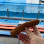 レス13番の画像1