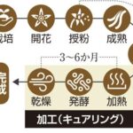 レス1番のリンク先のサムネイル画像