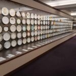 レス36番の画像1