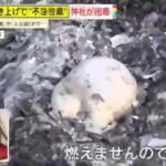 レス4番の画像1