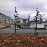 レス2番の画像9