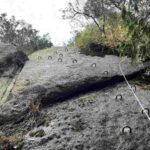 レス24番の画像1