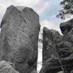 レス37番の画像1