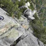 レス44番の画像1