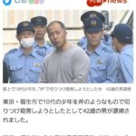 レス19番の画像1