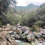 レス8番の画像1