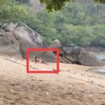 レス2番の画像1