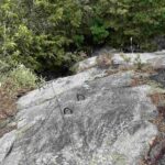 レス25番の画像1