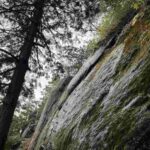 レス23番の画像1