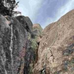 レス40番の画像1