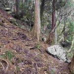 レス20番の画像1