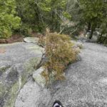 レス31番の画像1