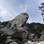 レス34番の画像1