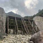 レス5番の画像1