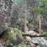 レス21番の画像1