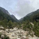 レス12番の画像1