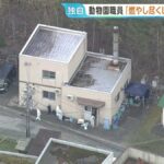 レス1番のリンク先のサムネイル画像