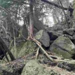 レス22番の画像1