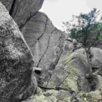 レス39番の画像1