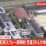 レス1番のリンク先のサムネイル画像