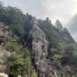 レス15番の画像1