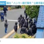 レス31番の画像1