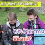 レス3番の画像3