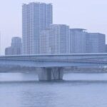 レス2番のリンク先のサムネイル画像