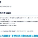 レス1番のリンク先のサムネイル画像