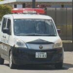 レス1番のリンク先のサムネイル画像