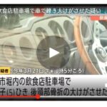 レス5番の画像1