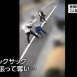 レス1番のリンク先のサムネイル画像