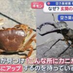 レス1番のリンク先のサムネイル画像